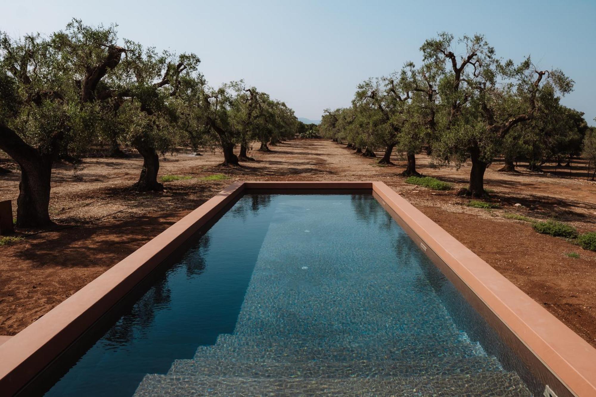 Bed and Breakfast Ozio - Il Trullo Rosso Fasano Exterior foto